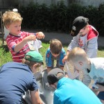 IMG_3344